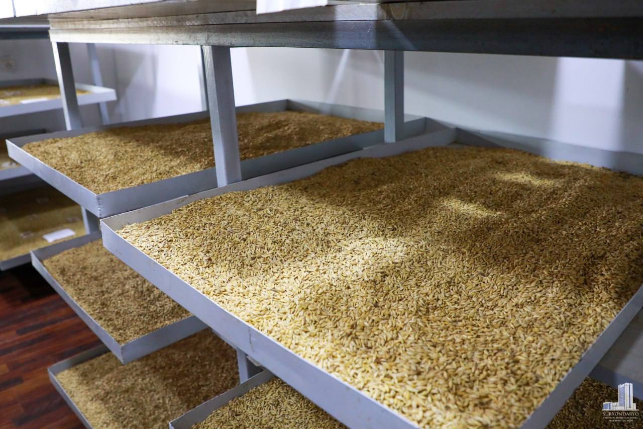 Surxondaryo viloyati hokimi Ulug‘bek Qosimov Sherobod tumanidagi "Sherbek biolaboratoriyasi" xususiy korxonasiga tashrif buyurdi