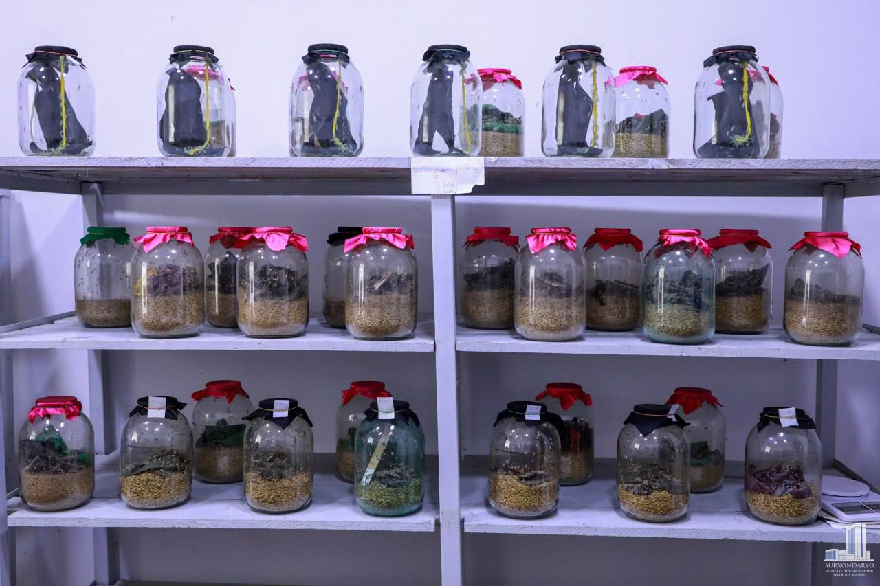 Surxondaryo viloyati hokimi Ulug‘bek Qosimov Sherobod tumanidagi "Sherbek biolaboratoriyasi" xususiy korxonasiga tashrif buyurdi