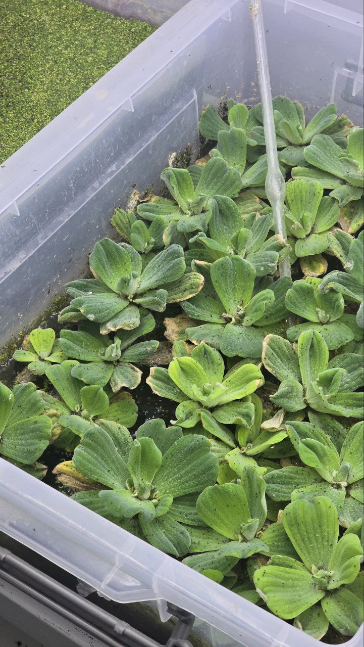 Kimyo-texnologiya institutida “Biosifat” respublika markazi bilan hamkorlik uchrashuvi